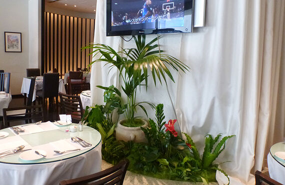 水やりは観葉植物のメンテナンスのポイントです。管理はレンタルがお得！広島市観葉植物レンタル「グリーンポケット広島西」