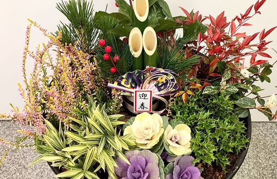 玄関まわりやお庭の季節感の演出には「寄せ植え」がおすすめです◎花・観葉植物のレンタルはグリーンポケット広島西店