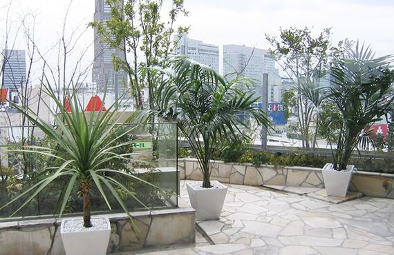 鉢植えや花壇などエクステリアの各種装飾及びメンテナンスを行います◎グリーンポケット広島西