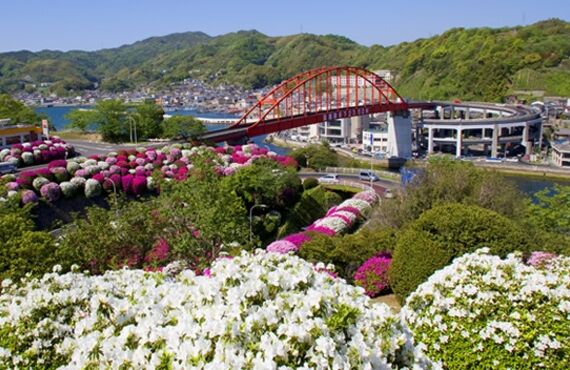 呉市全域出張対応いたします。お気軽にお見積りをご依頼ください◎グリーンレンタルはグリーンポケット広島西