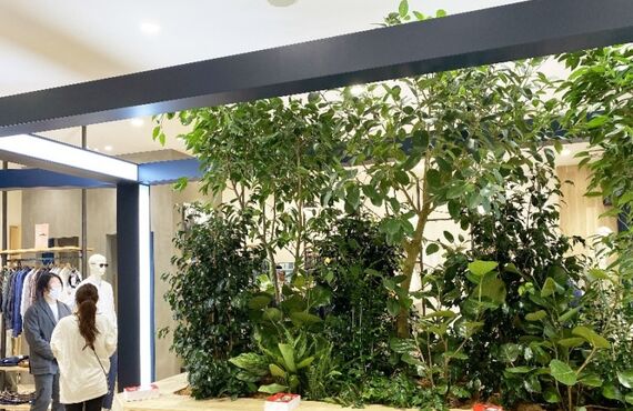 InstallationExample／セレクトショップ◎広島市のグリーンレンタルはグリーンポケット広島西