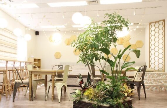 設置例：CSR-4◎広島市のグリーンレンタルはグリーンポケット広島西