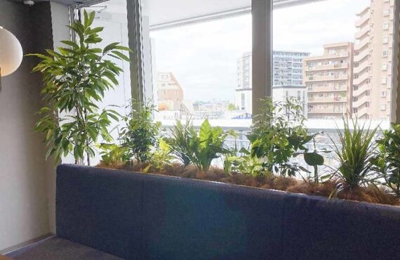 InstallationExample／ShareOffice-1◎広島市のグリーンレンタルはグリーンポケット広島西