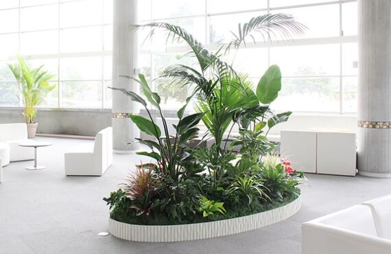 春の「緑の普及キャンペーン」を実施しています◎広島市のグリーンレンタルはグリーンポケット広島西