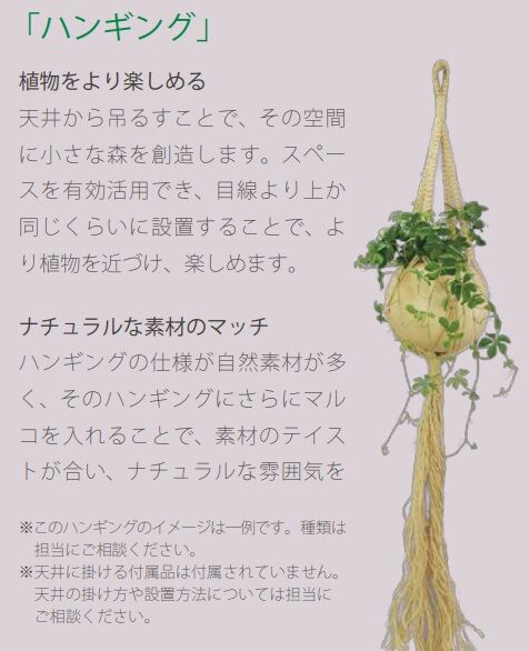 マルコ