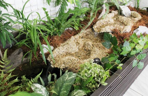 1鉢からでも気兼ねなくご利用いただけます◎広島市のグリーンレンタルはグリーンポケット広島西