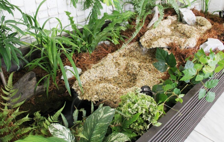 アクアガーデン