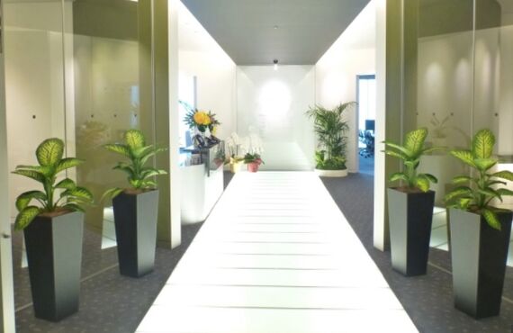 メンテナンスフリーでグリーンを楽しむことができます◎広島の観葉植物レンタルはグリーンポケット広島西