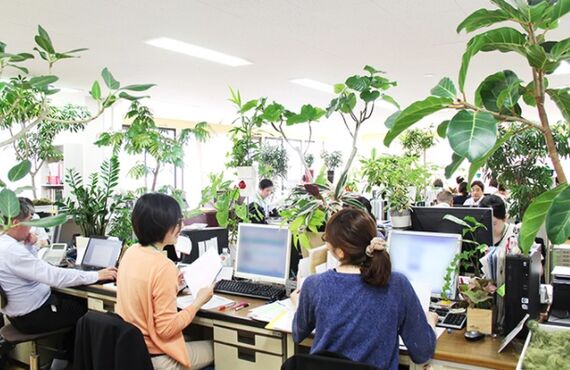 豊富な植物と鉢から空間に合わせたプランをコーディネートします◎広島市のグリーンレンタルはグリーンポケット広島西