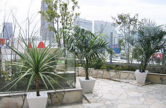 毎月、シーズンごとなど観葉植物の交換時期が選べます◎広島市のグリーンレンタルはグリーンポケット広島西