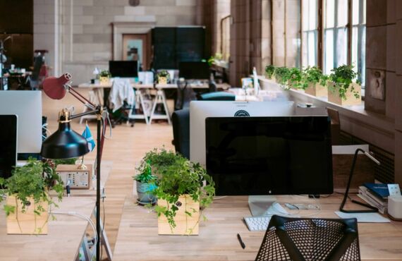 感染防止や緑を通じて職場環境と健康対策を推進することが出来ます◎広島のグリーンレンタルはグリーンポケット広島西