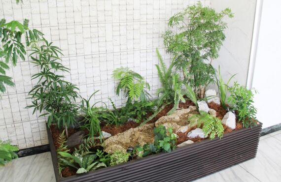 実際に水が流れることで自然の音が聞こえます◎広島市のグリーンレンタルはグリーンポケット広島西