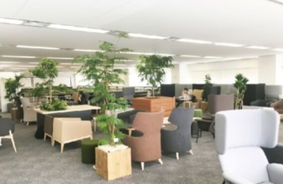 笑顔あふれるストレスフリーなオフィスのための福利厚生プラン◎広島市の観葉植物レンタルはグリーンポケット広島西