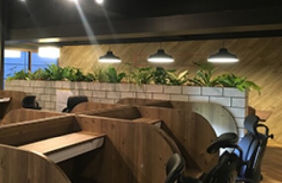 集中力を高め、脳を活性化する植物の効果を活かします◎広島市の観葉植物レンタルはグリーンポケット広島西