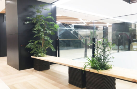 L.M.Sなど様々なサイズのグリーンをご用意しています①◎広島市の観葉植物レンタルはグリーンポケット広島西