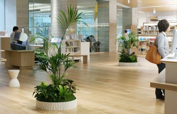 L.M.Sなど様々なサイズのグリーンをご用意しています②◎広島市の観葉植物レンタルはグリーンポケット広島西