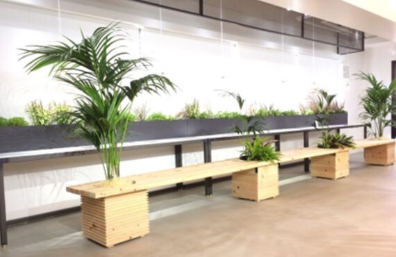L.M.Sなど様々なサイズのグリーンをご用意しています③◎広島市の観葉植物レンタルはグリーンポケット広島西