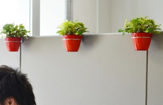 社内をつなげるグリーンの輪「グリーンフープ」◎広島市の観葉植物レンタルはグリーンポケット広島西