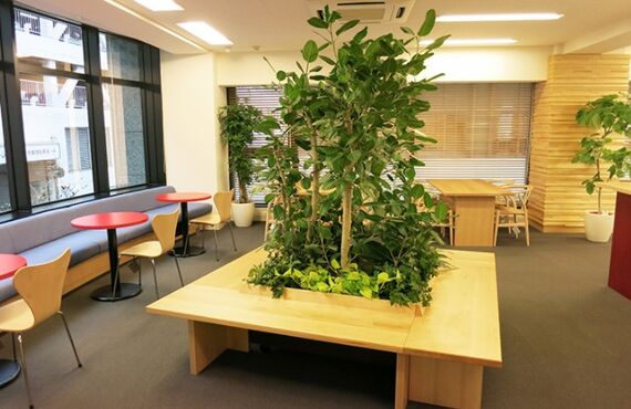 グリーン･ポケットの観葉植物レンタルは福利厚生を目的とした ｢職場の環境と健康｣を推進するサービスです②