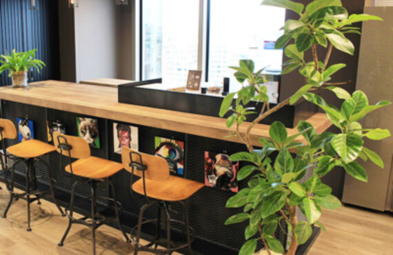 グリーン･ポケットの観葉植物レンタルは福利厚生を目的とした ｢職場の環境と健康｣を推進するサービスです④