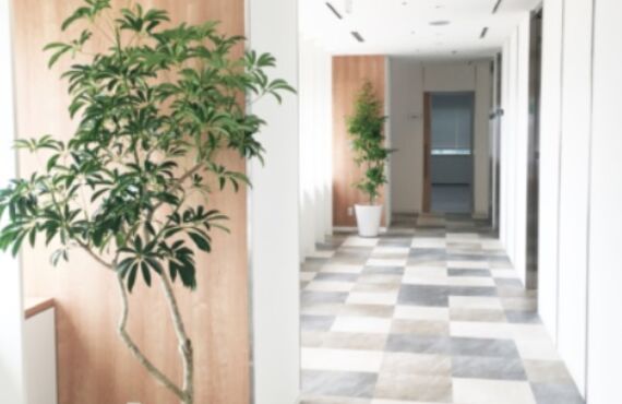 グリーンポケットの利用プランは色々選べて楽しい⑪広島市の観葉植物レンタルはグリーンポケット広島西