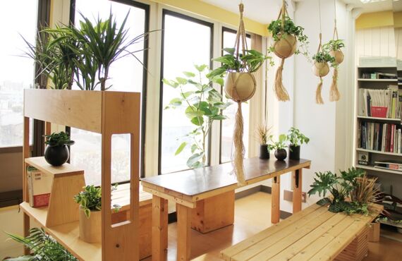 よくある質問から「植物の種類」◎広島市の観葉植物レンタルはグリーンポケット広島西