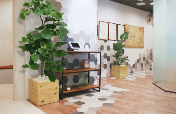 よくある質問から「もらった植物」◎広島市の観葉植物レンタルはグリーンポケット広島