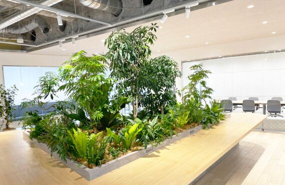グリーンレンタル価格は3つ選択の組み合わせで◎広島市の観葉植物レンタルはグリーンポケット広島西