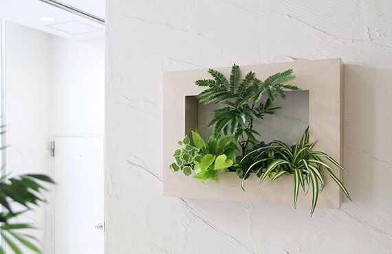 壁から創まれた小さな森◎広島市の観葉植物レンタルはグリーンポケット広島西