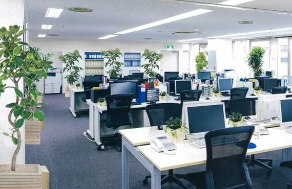 緑の効果＋新型コロナ徐染＋消臭のトリプル効果◎広島市の観葉植物レンタルはグリーンポケット広島西