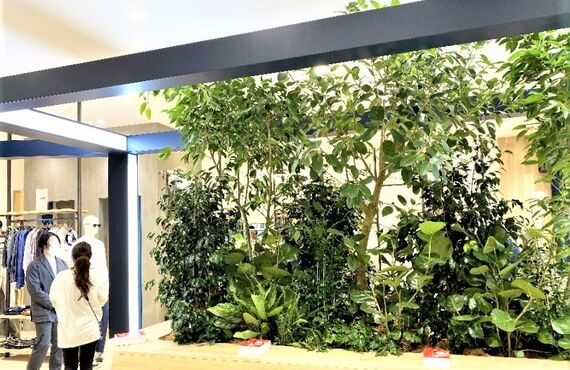 好みに合わせたオーダーメイドのプラン①◎広島市の観葉植物レンタルはグリーンポケット広島西