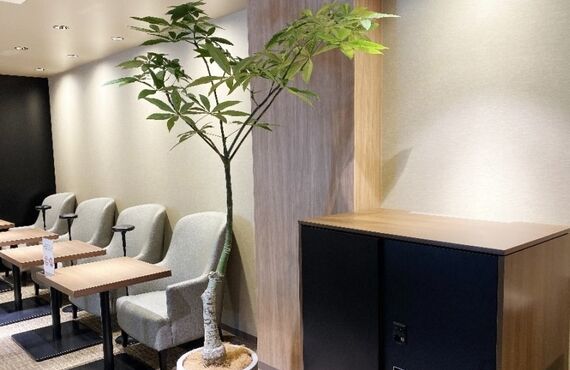 お客様のお好みに合わせたオーダーメイドのプラン⑤◎広島市の観葉植物レンタルはグリーンポケット広島西