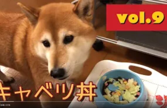 看板犬ハチと観葉植物のストーリー⑥◎広島市の観葉植物レンタルはグリーンポケット広島西