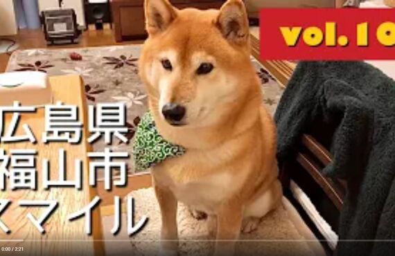 看板犬ハチと観葉植物のストーリー⑦◎広島市の観葉植物レンタルはグリーンポケット広島西