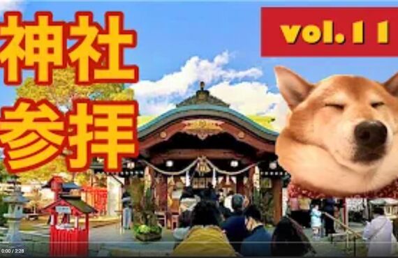 看板犬ハチと観葉植物のストーリー⑧◎広島市の観葉植物レンタルはグリーンポケット広島西
