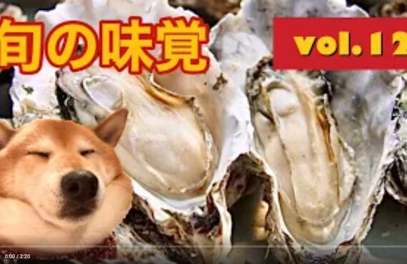 看板犬ハチと観葉植物のストーリー⑨◎広島市の観葉植物レンタルはグリーンポケット広島西