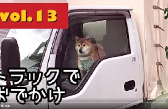 看板犬ハチと観葉植物のストーリー⑩◎広島市の観葉植物レンタルはグリーンポケット広島西