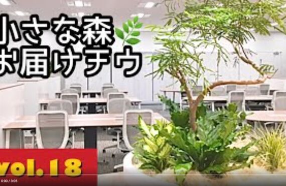 看板犬ハチと観葉植物のストーリー⑭◎広島市の観葉植物レンタルはグリーンポケット広島西