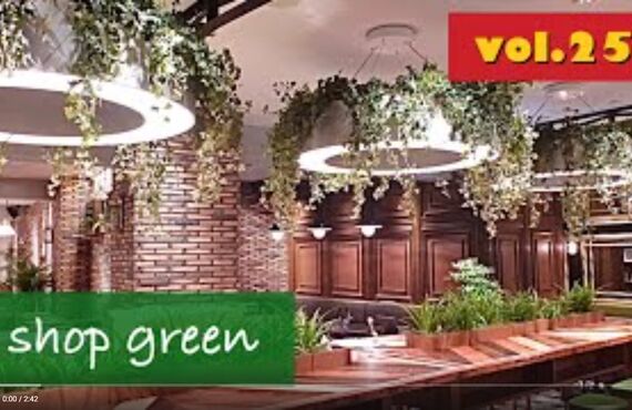 看板犬ハチと観葉植物のストーリー⑳◎広島市の観葉植物レンタルはグリーンポケット広島西