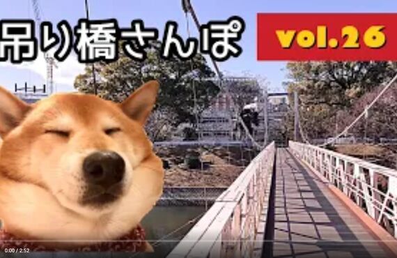 看板犬ハチと観葉植物のストーリー㉑◎広島市の観葉植物レンタルはグリーンポケット広島西