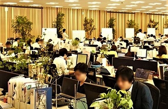 オフィス緑化のお手伝いをします◎広島市の観葉植物レンタルはグリーンポケット広島西