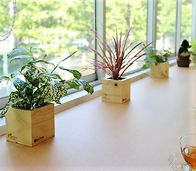 zzz