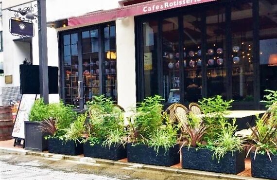 Cafeのエントランスやアウトドアに◎広島市の観葉植物レンタルはグリーンポケット広島西