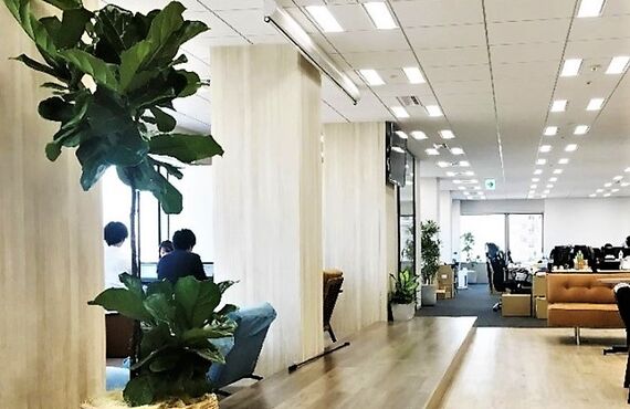 生産性をアップさせオフィス空間全体の活性化を目的とします◎広島市の観葉植物レンタルはグリーンポケット広島西