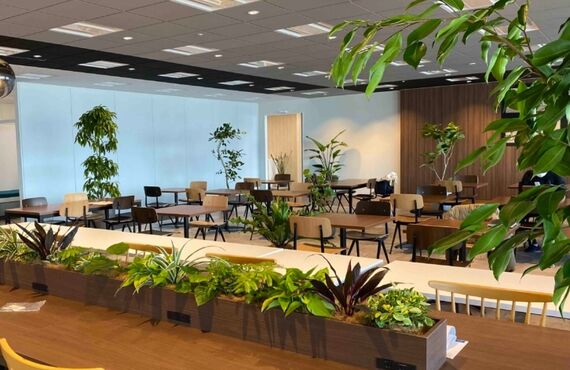 インスピレーションが沸く場所に◎広島市の観葉植物レンタルはグリーンポケット広島西