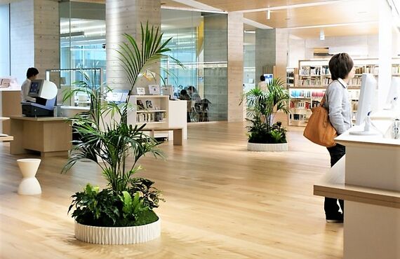 集中力を高め脳を活性化させる働きがあります◎広島市の観葉植物レンタルはグリーンポケット広島西