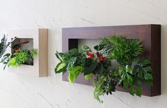 春夏秋冬をイメージしたグリーンパッケージ◎広島市の観葉植物レンタルはグリーンポケット広島西