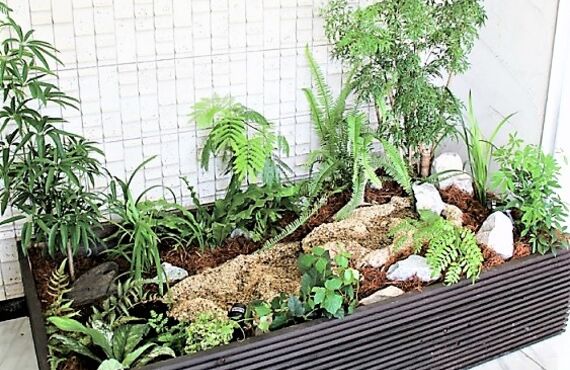 視覚的な刺激にさらに聴覚的な要素を加えます◎広島市の観葉植物レンタルはグリーンポケット広島西