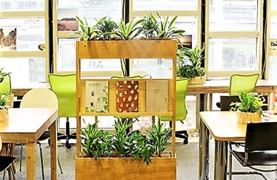 パーティションプランターから卓上プランターまで◎広島市の観葉植物レンタルはグリーンポケット広島西