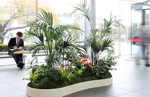可変システムにより大小様々な空間に対応できます◎広島市の観葉植物レンタルはグリーンポケット広島西